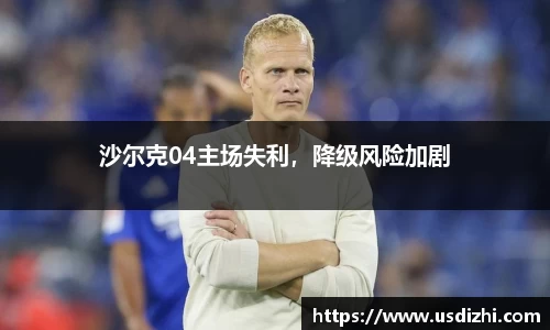 沙尔克04主场失利，降级风险加剧