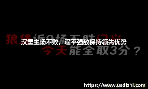 汉堡主场不败，逼平强敌保持领先优势