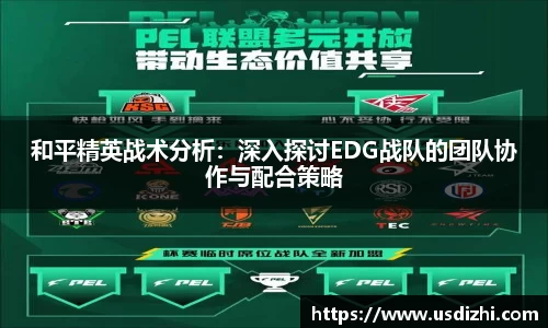 和平精英战术分析：深入探讨EDG战队的团队协作与配合策略