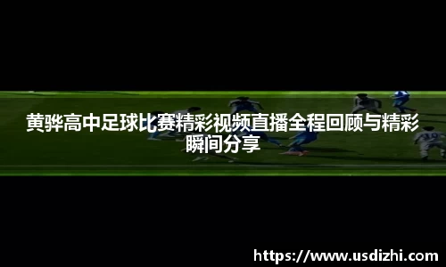欧陆娱乐