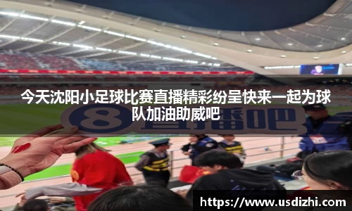 今天沈阳小足球比赛直播精彩纷呈快来一起为球队加油助威吧